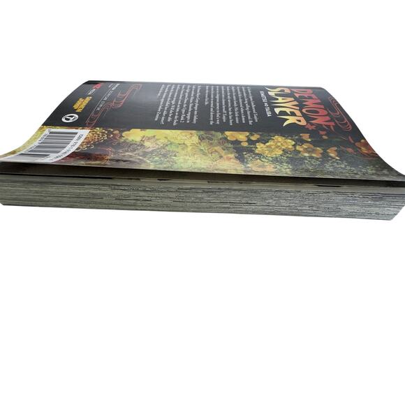 Demon Slayer: Kimetsu no Yaiba, Vol. 17 Paperback Manga, Comics - Picture 3 of 4